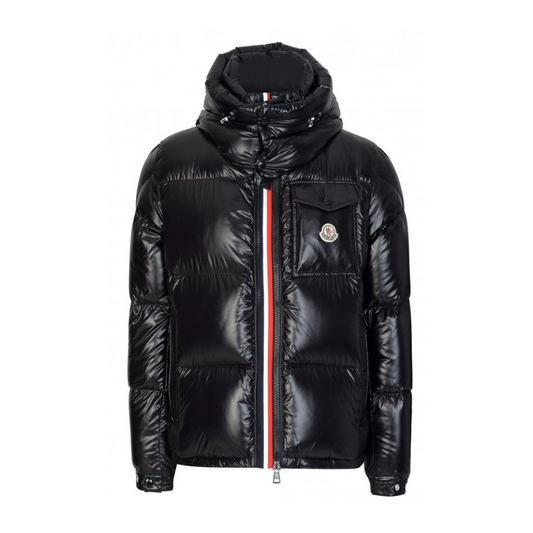 Moncler Montbeliard Down Jacket